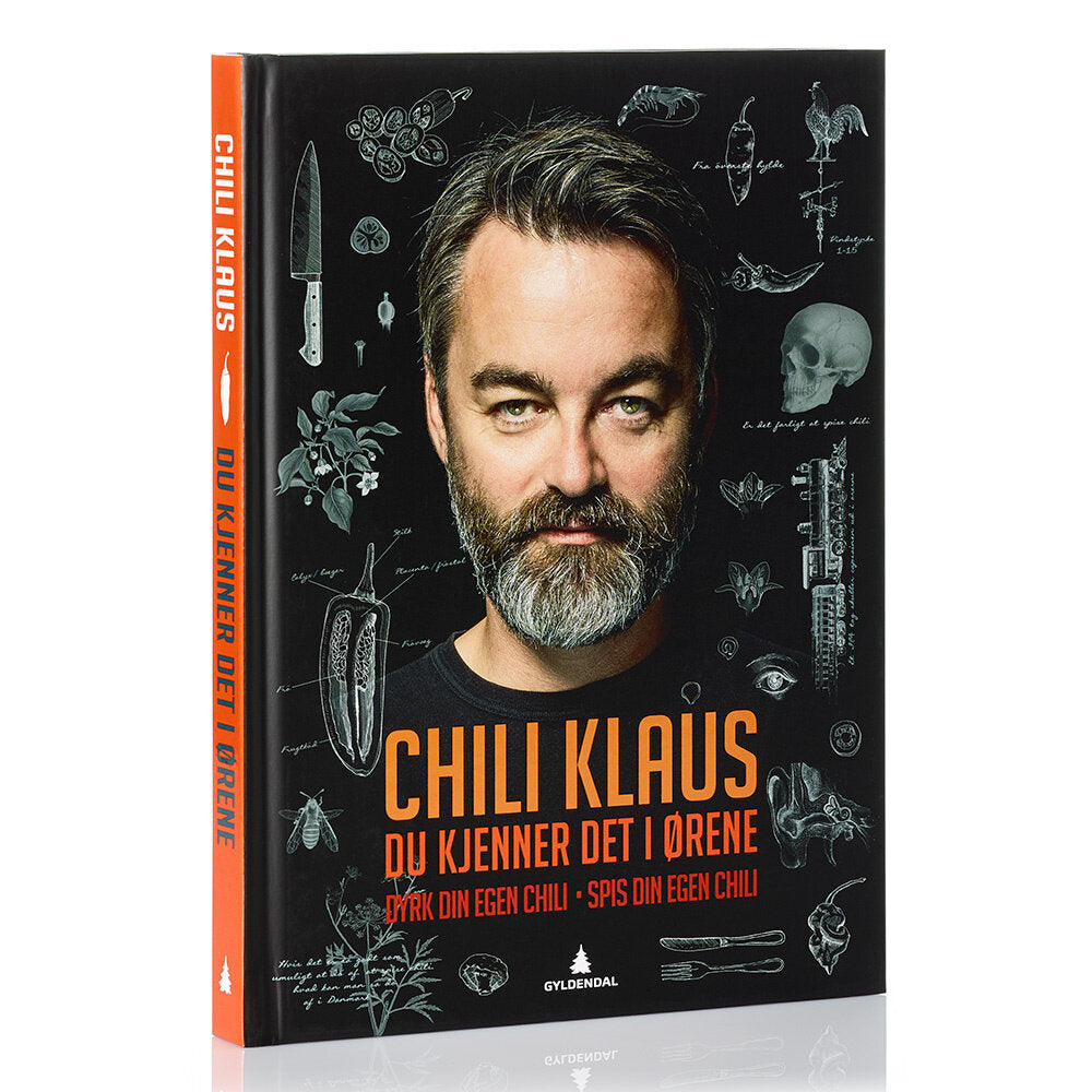 Du kjenner det i ørene - norsk bog